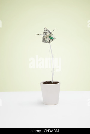 L'origami us dollar billet de plante en pot Banque D'Images