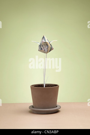 Billet de yens d'Origami en plante en pot Banque D'Images