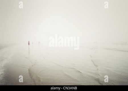 Les gens on foggy beach, Tofino, Vancouver Island, Canada Banque D'Images