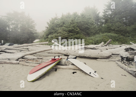 Sur les planches de la plage misty, Tofino, Vancouver Island, Canada Banque D'Images