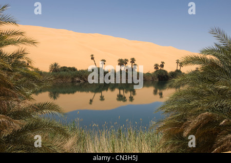 La Libye, Fezzan, désert du Sahara, l'Erg Awbari, Umm el Ma lake Banque D'Images