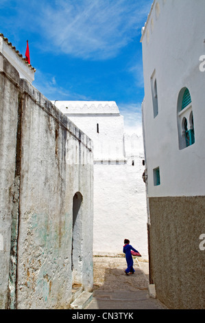 Maroc, Région Tanger Tétouan, Tanger, Kasbah Banque D'Images