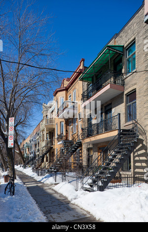 Canada, Québec, Montréal, le Plateau Mont Royal en hiver, rue et maisons traditionnelles avec des escaliers en fer Banque D'Images