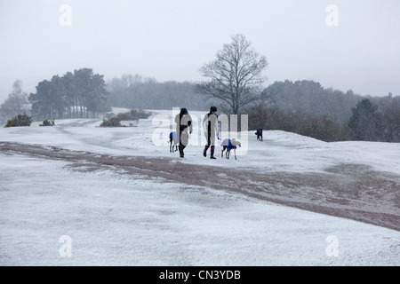 La neige couvrant le Worcestershire, Clent Hills en avril. Sur la photo, les gens promènent leurs chiens. Banque D'Images