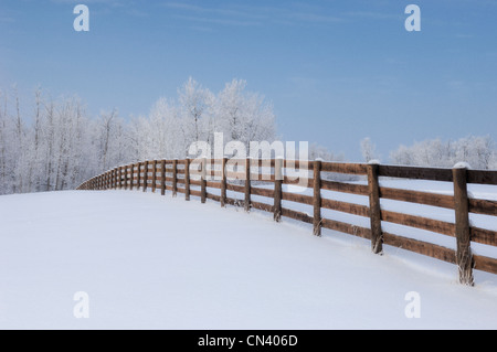 Clôture dans un pays merveilleux de l'hiver, Strathcona County, Alberta Banque D'Images