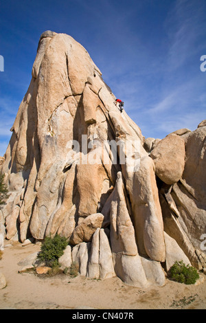 Un alpiniste et un paysage désertique dans Joshua Tree National Park, Californie Banque D'Images