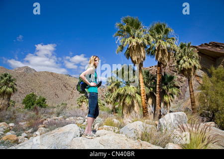 Un randonneur en Murry Canyon, les Canyons Indiens, près de Palm Springs, Californie Banque D'Images