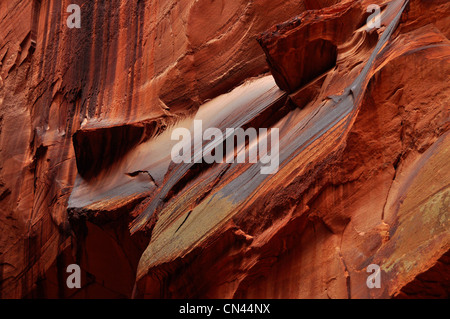 Vernis du désert sur le mur de l'Utah Paria Canyon. Banque D'Images