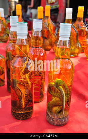 Vin Cobra à vendre au marché du tourisme, Don Sae, Pak Tha Région, Bokèo Province, Laos Banque D'Images