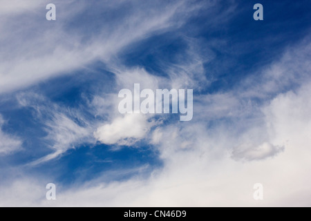 Les cirrus blanc contre un ciel bleu cobalt Colorado Banque D'Images