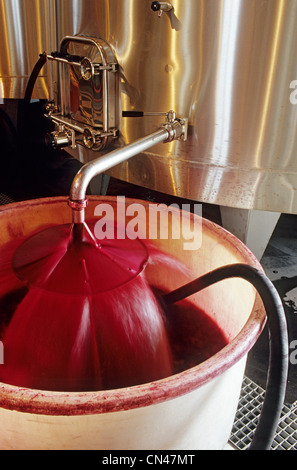 France, Gironde, Saint Julien Beychevelle, Château Leoville Poyferre, filtre à vin Banque D'Images