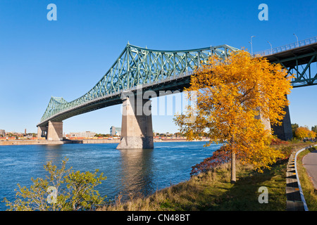 Canada, Québec, Montréal, le pont Jacques-Cartier à partir de la rive du fleuve Saint-Laurent, sur l'Ile sainte Hélène, tree Banque D'Images