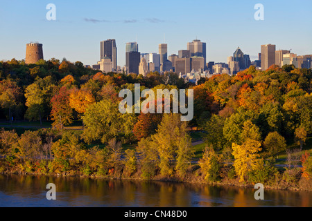 Canada, Québec, Montréal, l'downtonwn gratte-ciel, au premier plan, le fleuve Saint-Laurent et les arbres en automne Banque D'Images