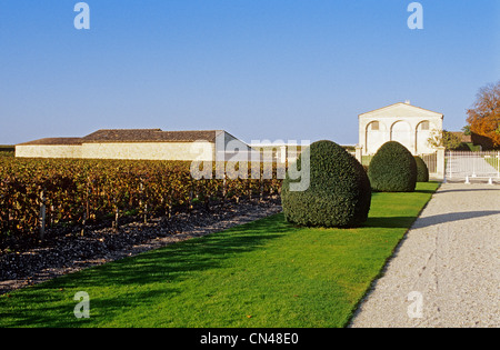 France, Gironde, Pauillac, Château Mouton Rothschild, vignoble et chais Banque D'Images