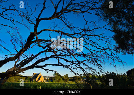 L'Australie, l'Australie, la Clare Valley, Sept Collines Cave, la plus ancienne cave dans la vallée, Aloysius church Banque D'Images