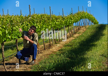 L'Australie, l'Australie, la Clare valley, sept collines cave, la plus ancienne cave dans la vallée, Gary Schutz est le contrôle Banque D'Images