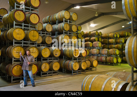 L'Australie, l'Australie, la Clare Valley, O'Leary Walker cave, Matt Logan est de contrôler la qualité du vin Banque D'Images