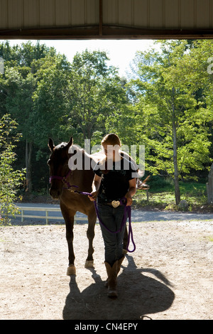 Adolescente marcher dans les enclos à cheval Banque D'Images