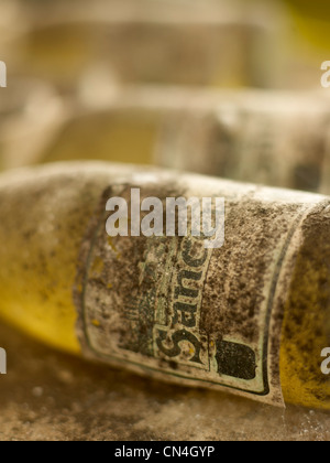 France, Loire, caractéristique : vin Margeon clignote, bouteilles de Sancerre Banque D'Images