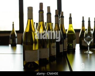 France, Loire, caractéristique : Margeon, bouteilles de vin clignote de vin blanc Banque D'Images