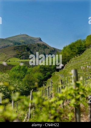 France, caractéristique : le vin, feux Margeon vignobles dans le Sud-Ouest Banque D'Images