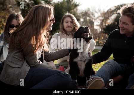 Les amis sur la pelouse Playing with dog Banque D'Images