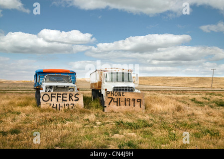 Vieux camions à vendre dans un champ Banque D'Images