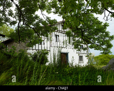 France, Pyrénées Atlantiques, Hasparren, caractéristique : Arnaud Daguin du Pays Basque, Hegia Bed and Breakfast Banque D'Images