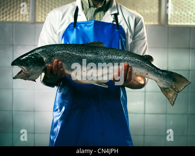 Poissonnier holding a salmon Banque D'Images