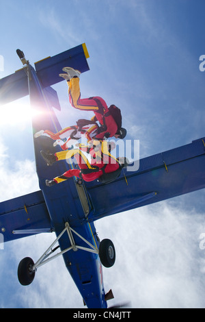 Les parachutistes Freefly Banque D'Images