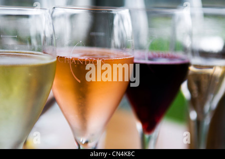 L'Australie, Victoria, région viticole de la Yarra Valley au nord-est de Melbourne, Coldstream, dégustation de vin au Domaine Banque D'Images