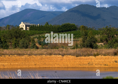 L'Australie, Victoria, région viticole de la Yarra Valley au nord-est de Melbourne, le Français Dominique Portet's Winery sur Banque D'Images