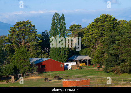 L'Australie, Victoria, région viticole de la Yarra Valley au nord-est de Melbourne, ranch de Yering George cottages autour Banque D'Images