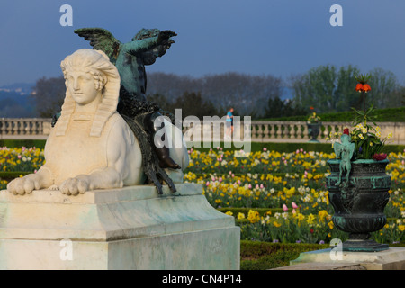 France, Yvelines, parc du château de Versailles, classé au Patrimoine Mondial de l'UNESCO, parterre du Midi (sud), parterre Banque D'Images