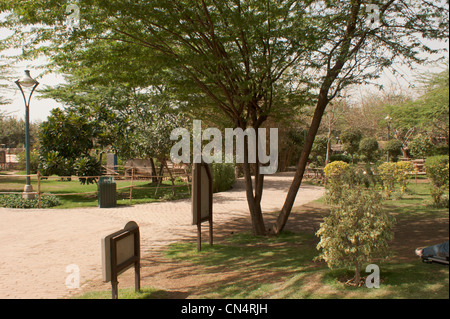 Allée et arbres à l'intérieur du Jardin des 5 sens. Vous pouvez voir l'arrière de panneaux le long avec un lampadaire, situé dans le sud de Delhi Banque D'Images