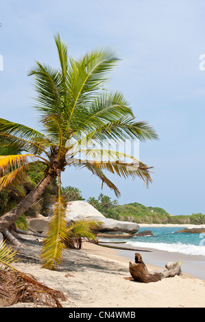 La Colombie, département de Magdalena, Parc National Naturel de Tayrona (Parque Nacional Tayrona) fondée en 1969, la piscina beach Banque D'Images