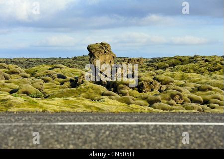 Au champ de lave Eldhraun, Islande. L'accent sur l'arrière-plan. Banque D'Images