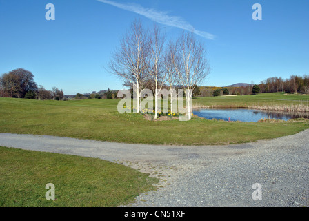 Vue sur un parc de golf en Irlande wicklow Banque D'Images