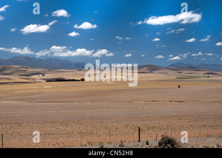 Klein (petit) karoo, N2 road / route près de Caledon Afrique du Sud Banque D'Images