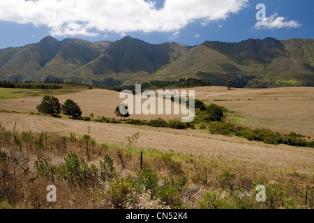 Klein (Petit) karoo, route N 2 / route près de Caledon, Afrique du Sud Banque D'Images