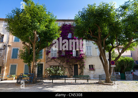 La France, Var, Saint Tropez, quartier de la Ponche, des bougainvillées en fleurs sur la façade d'une maison de la Place Henri Personne Banque D'Images