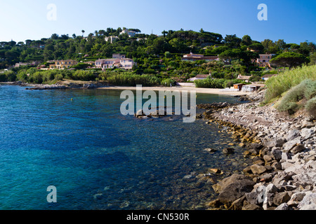 La France, Var, Saint Tropez, le bleu de la mer et de la plage des Graniers, plage au bas du versant sud de la Citadelle Banque D'Images