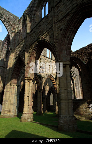 Abbaye de Tintern, Monmouthshire, Wales Banque D'Images