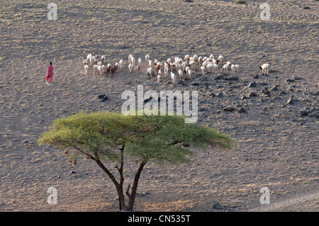 Région d'Arusha, Tanzanie, vallée du Rift, région du lac Natron, berger Maasai Banque D'Images