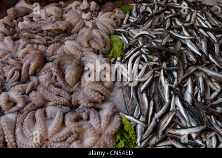 L'Italie, Vénétie, Venise, inscrite au Patrimoine Mondial de l'UNESCO, quartier de San Polo, le marché aux poissons hall (Campo de la Pescaria), Mercati Banque D'Images