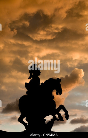 France, Paris, la statue équestre de Louis XIV dans la cour Napoléon du Musée du Louvre Banque D'Images