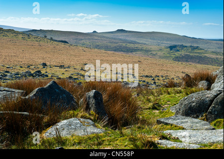 Kings Tor sur la bordure ouest du Parc National de Dartmoor avec le mandat du grand mal, Tor Tor Sharpitor en cuir Banque D'Images