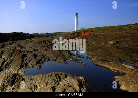 Auskerry Phare et l'épave du SS le comté de Hastings, Orkney Banque D'Images