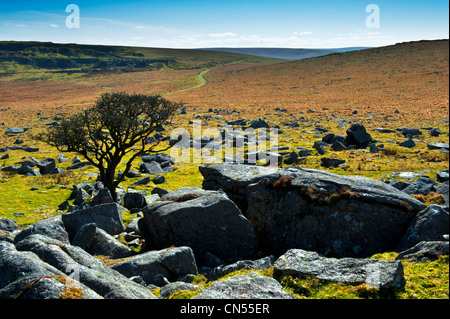 Kings Tor sur la bordure ouest de la Parc National de Dartmoor dans le Devon. Il a un certain nombre de carrières désaffectées situé autour du bord Banque D'Images