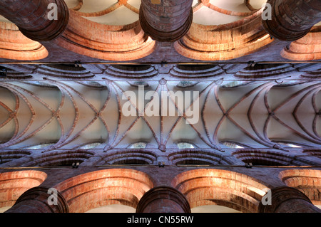 Le plafond de la cathédrale St Magnus, Kirkwall, Orkney Banque D'Images